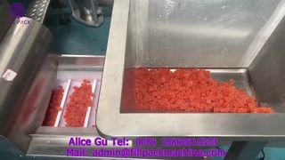 دستگاه پرکن و آب بندی کیسه چرخان توزین 2271 J124