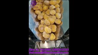 دستگاه پرکن و آب بندی شاه بلوط کیسه ای چرخشی 2287 J125