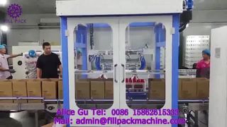 2234 P15 خط تولید جعبه گشایی، چیدن و بسته بندی کیس