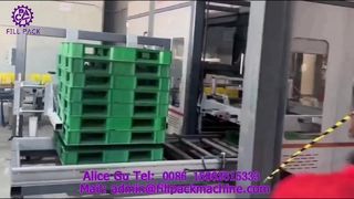 2307 P42 کارتن بسته بندی دروازه ای پالت سازی خط تولید