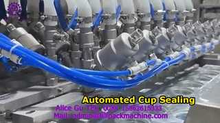 2228 J119 In-Line 8-Station Cup-type Machine washing, filling, and film seal machine
