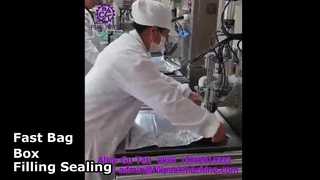 دستگاه پرکن و آب بندی کیسه ای تک سر نیمه اتوماتیک 2108 L14