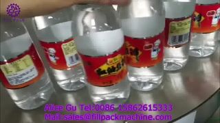 2267 M31 Simple Hot-Melt Labeling Machine
